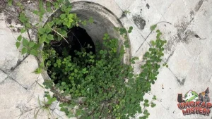 Omah Balung Surabaya: 4 Jejak Jasad Mystery